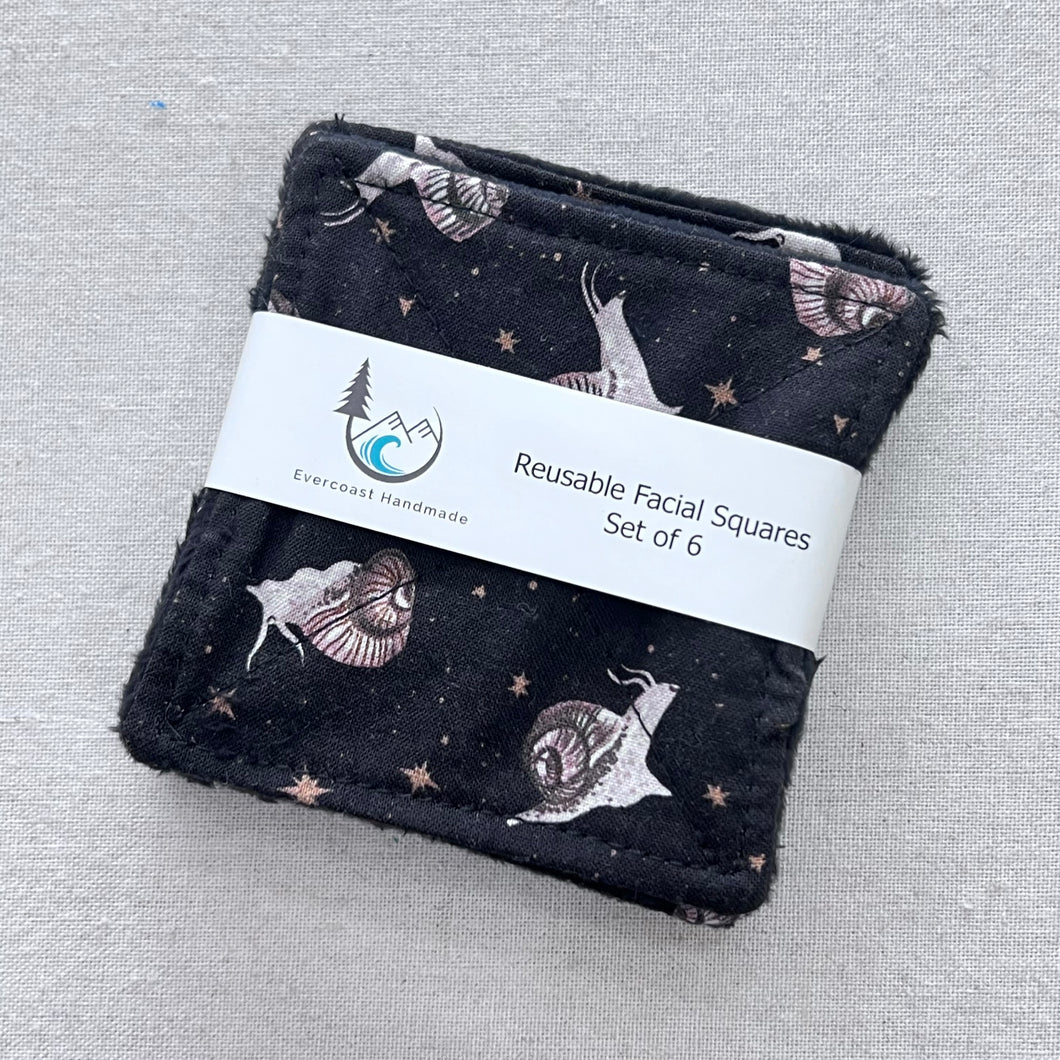 Celestial Snail Reusable Facial Squares